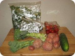 2009_0627csa0002